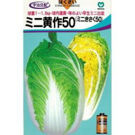 楽天市場 白菜 品種の通販