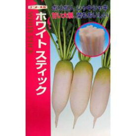 ミニ大根 種 【 ホワイトスティック 】 種子 小袋（約20ml） （ 種 野菜 野菜種子 野菜種 ）