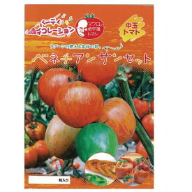 楽天市場 野菜 種まき カレンダーの通販 楽天市場 野菜 種まき カレンダーの通販