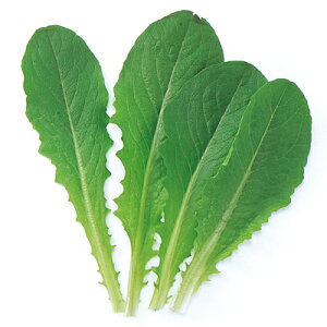 xr[[t  y O[C z q 1L i   ؎q ؎ j