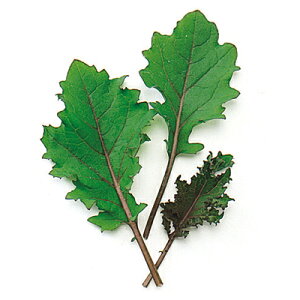 xr[[t  y bhP[ z q ܁i1dlj i   ؎q ؎ j