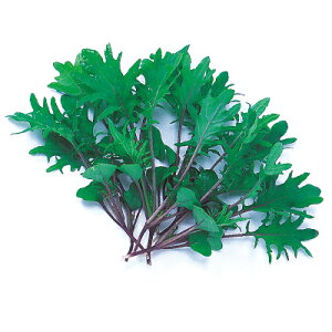 xr[[t  y ؗtbhP[ z q 1L i   ؎q ؎ j