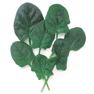 xr[[t  y O[Xsib` z q 1L i   ؎q ؎ j