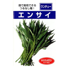 【 つるなしエンサイ (空芯菜) 】 種子 小袋（約20ml） （ 種 野菜 野菜種子 野菜種 ）