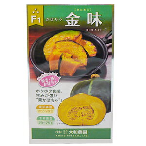 ���ڂ��� �� �y�J�{�`�� �����z 10�� �i �� ��� ��؎�q ��؎� �j