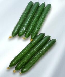 イ  yƂz 20i   ؎q ؎ j