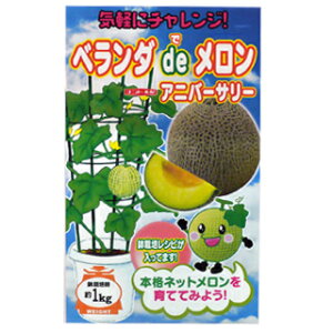   yAjo[T[z 100 i   ؎q ؎ j