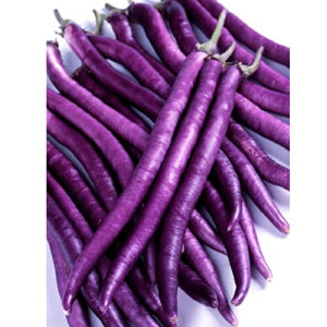 iX y }[V z  0.6ml [ Ȃ ֎q ^l  ̔ ʔ ͔| ]