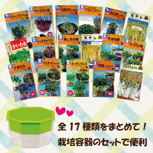 yz XvEg ͔|Zbg 17ނׂĂZbgi ej[ ̔ ʔ]