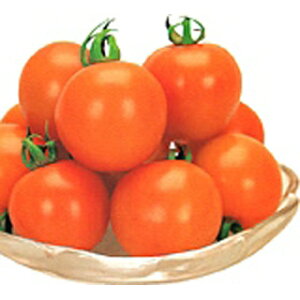 g}g  yIWI[z 1,000 i   ؎q ؎ j