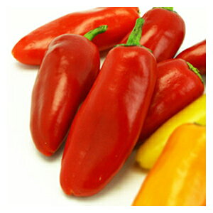 s[}  y Ղs[v@bh z 10 i   ؎q ؎ j