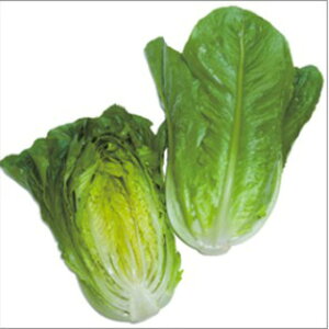 ^X  y }A z ܁iybg100j i   ؎q ؎ j