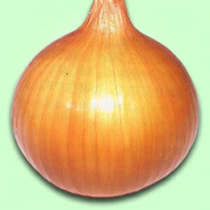 ܂˂  y _ z 20ml i   ؎q ؎ j