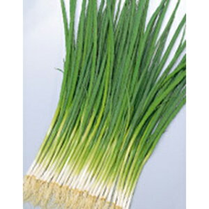 lM  y ΏGiĂ鏬˂j z  i   ؎q ؎ j