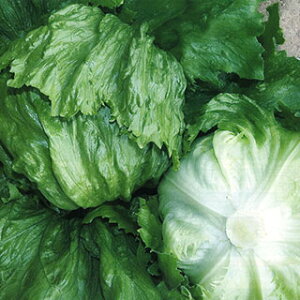 ^X  y IAVX z ybgL5000 i   ؎q ؎ j