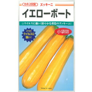 YbL[j  y CG[{[g z ܁i10j ( YbL[j̎ )