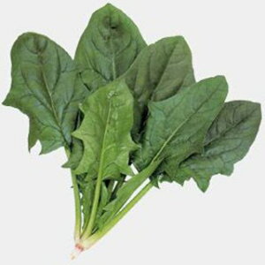 zE\E  y IVX z M3 ( zE\E̎ )