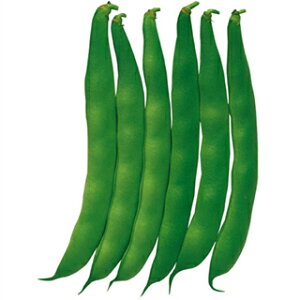 CQ  y Ȃؓ ȂbR z 1L ( CQ̎ )