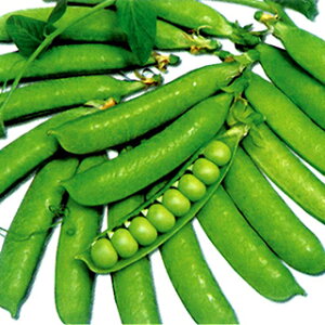 GhE  y GhE XvO z 1dl i   ؎q ؎ j