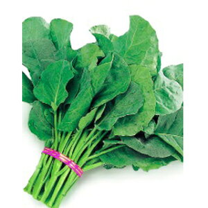 tؗ  ynJC@xWO[z ܁i10mlj i   ؎q ؎ j