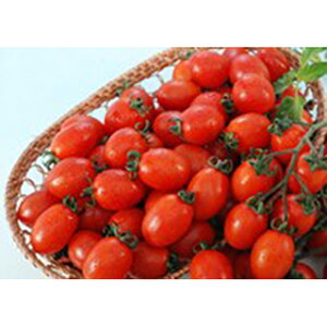 ~jg}g  yObZbhz 20 i   ؎q ؎ j