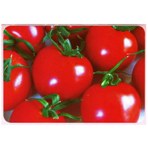 ʃg}g  yRs|z 15 i   ؎q ؎ j