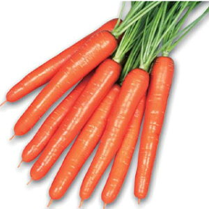 jW  y IWA[ z ybg1 i   ؎q ؎ j