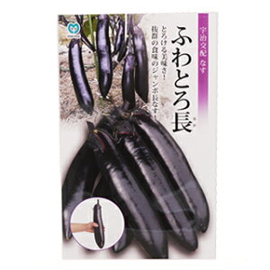 iX  y ӂƂ뒷 z ܁i40j i   ؎q ؎ j