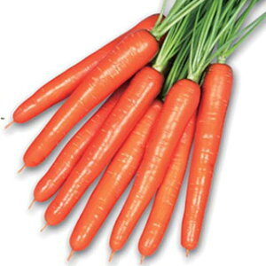 jW  y IWA[ z ybg1000 i   ؎q ؎ j