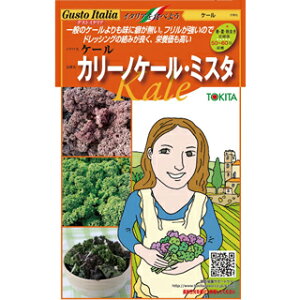 P[ J[mP[E~X^@܁@i20×2ji   ؎q ؎ j