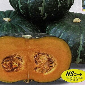 �J�{�`�� �� �y �I����܂��iNS�|027�j �z 100�� ( �J�{�`���̎� )