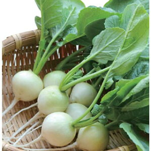 \卪  y _zCg z 1 i   ؎q ؎ j