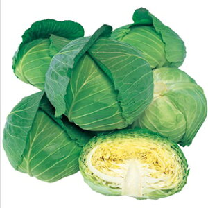 �L���x�c �� �y �ʕ� �z ����(2000��) �i �� ��� ��؎�q ��؎� �j