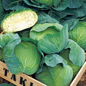 Lxc  y YRV z (2000) i   ؎q ؎ j