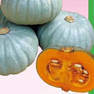 �J�{�`�� �� �y ���Ȃ䂫�Ђ� �z 100�� ( �J�{�`���̎� )