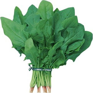 zE\E  y Y z ܁i50mlj ( zE\E̎ )