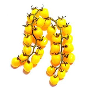 g}g  y CFv`ՂCG[ z  i   ؎q ؎ j