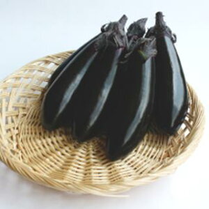 �i�X �� �y ���݂̂̂�2�� �z 20�� �i �� ��� ��؎�q ��؎� �j