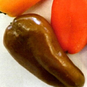 s[}  y Ղs[v@I[u z 10 i   ؎q ؎ j