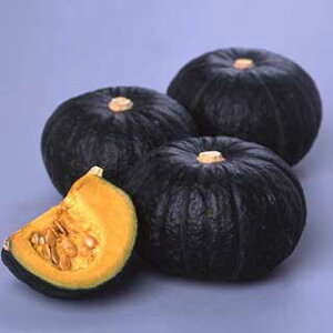 �J�{�`�� �� �y ����ق܂� �z 500�� ( �J�{�`���̎� )