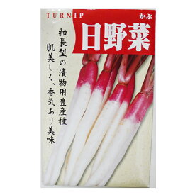 カブ 種 【日野菜かぶ】 小袋（約8ml） （ 種 野菜 野菜種子 野菜種 ）