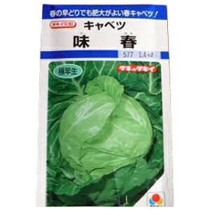 Lxc  y t z (DF 1.2ml) ( Lxc̎ )