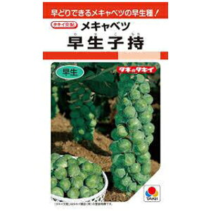 Lxc  y q z (DF 1.8ml) ( Lxc̎ )