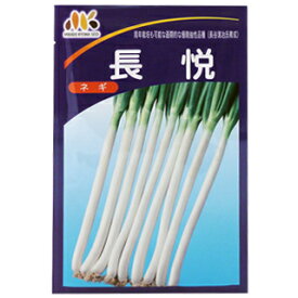 ネギ 種 【 長悦ねぎ 】 種子 小袋（約20ml） （ 種 野菜 野菜種子 野菜種 ）