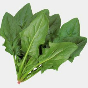 zE\E  y \ z 1L ( zE\E̎ )