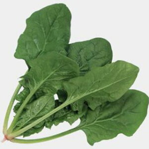 zE\E  y gbh7 z M3 ( zE\E̎ )