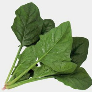 zE\E  y NmX z L2 ( zE\E̎ )