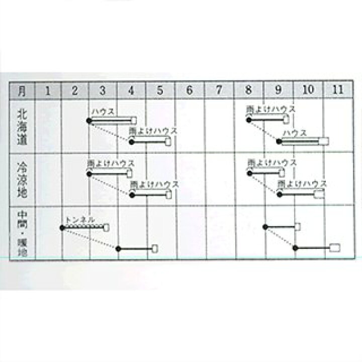 楽天市場】ホウレンソウ 種 【 トラッド 】 M3万粒 ( ホウレンソウの種 ) : 【菜園くらぶ】家庭菜園の専門店 楽天市場】ホウレンソウ 種 【 トラッド 】 M3万粒 ( ホウレンソウの種 ) : 【菜園くらぶ】家庭菜園の専門店