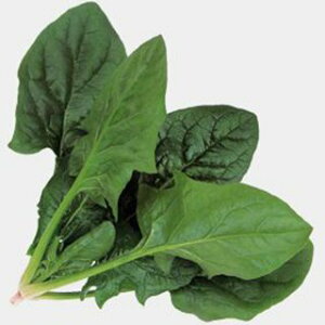 zE\E  y ~[W z L2 ( zE\E̎ )