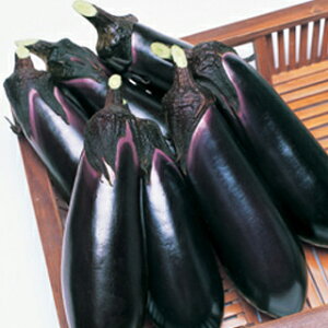 �Ȃ� �� �y�Ƃ��Ȃ��痼�񍆁z 1,000�� �i �� ��� ��؎�q ��؎� �j